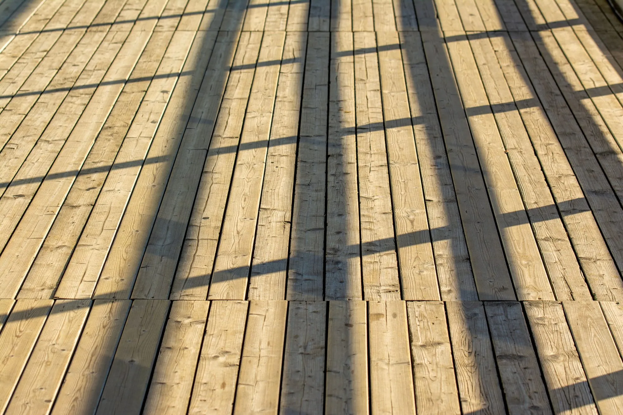 Clean, bare wood deck boards in afternoon sun