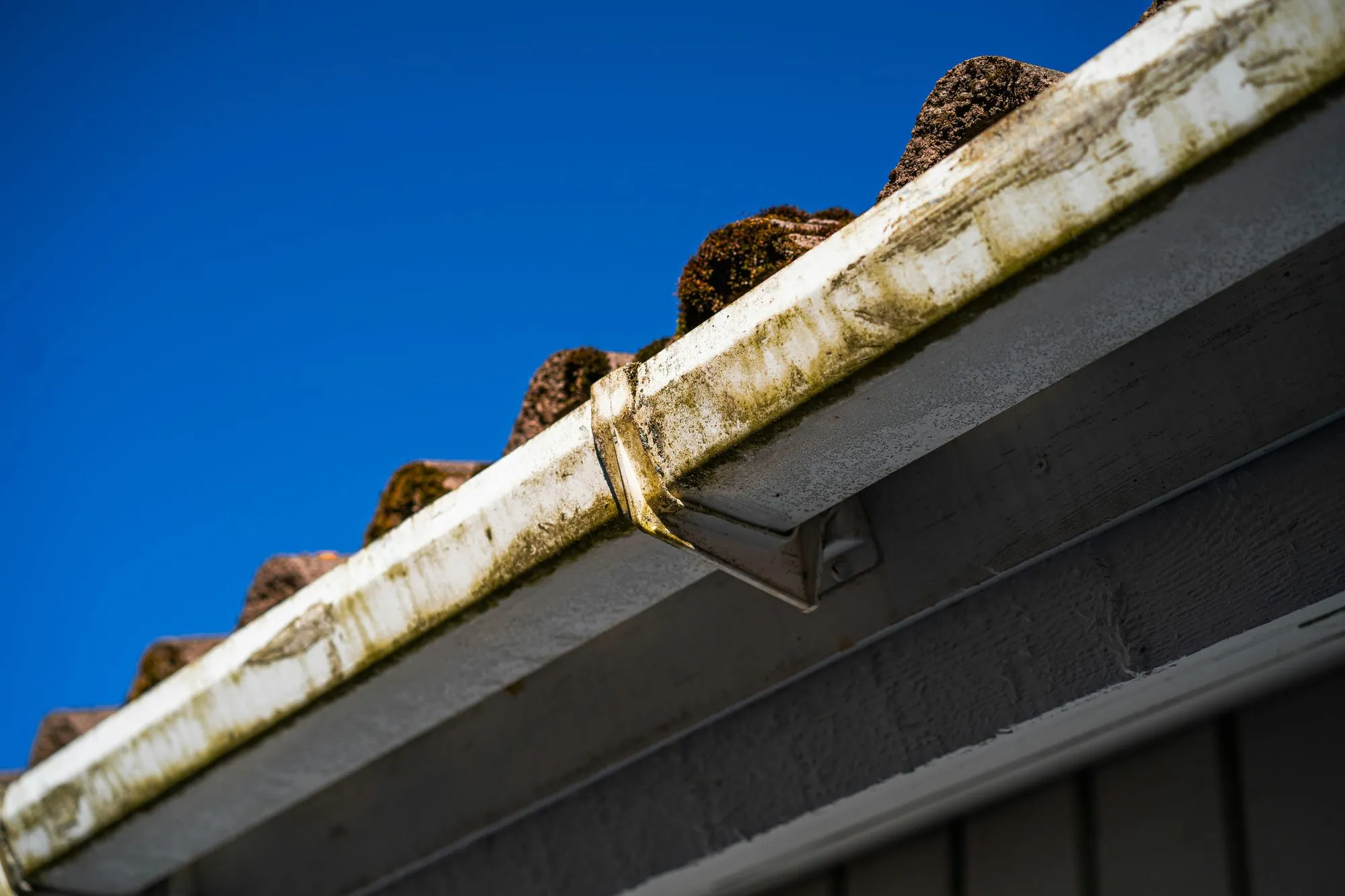 Dirty, moss-streaked gutter along a roof edge