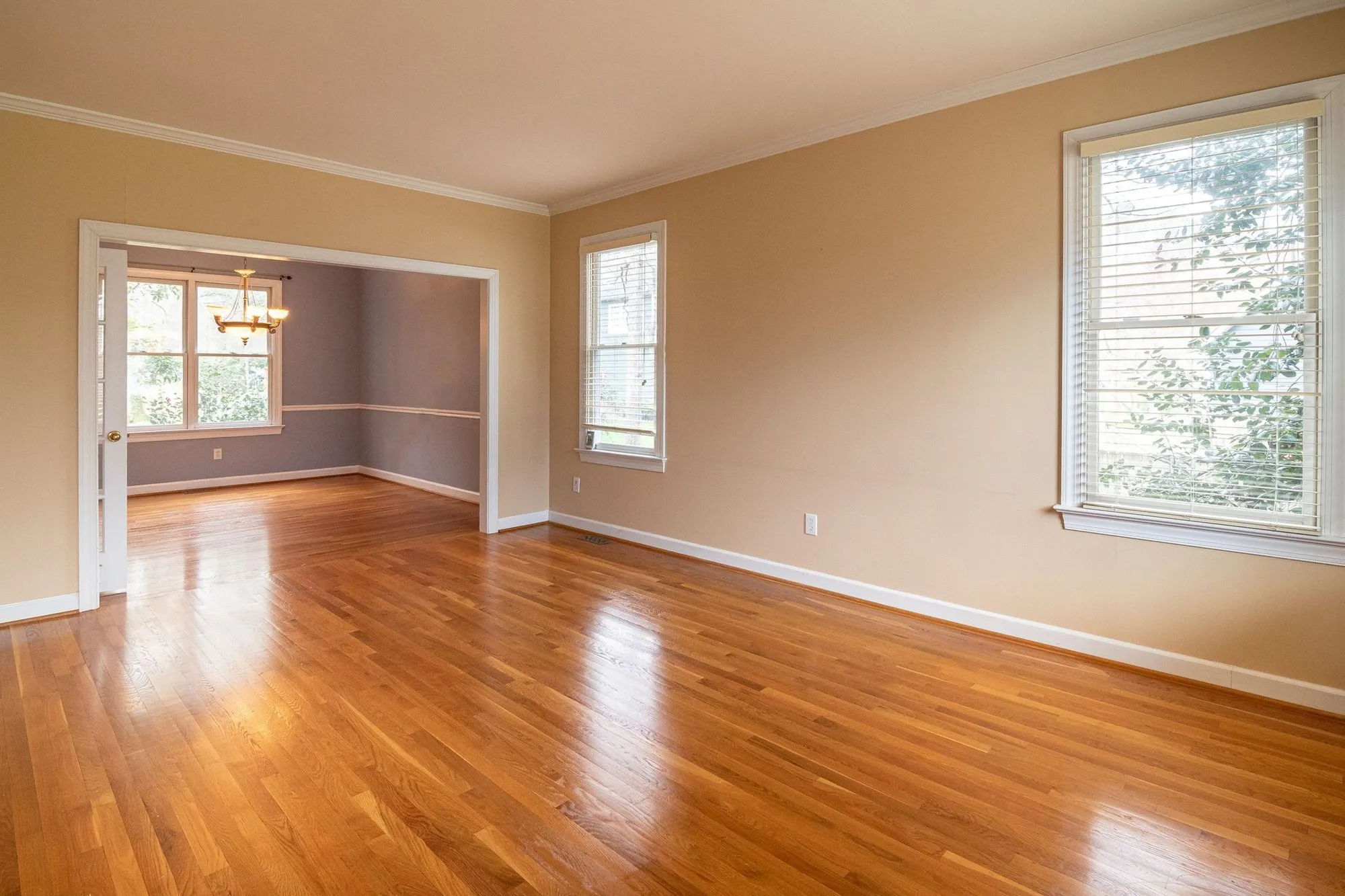 Freshly finished hardwood floor in a sunny room
